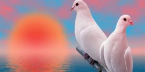 mơ thấy con chim đánh số mấy